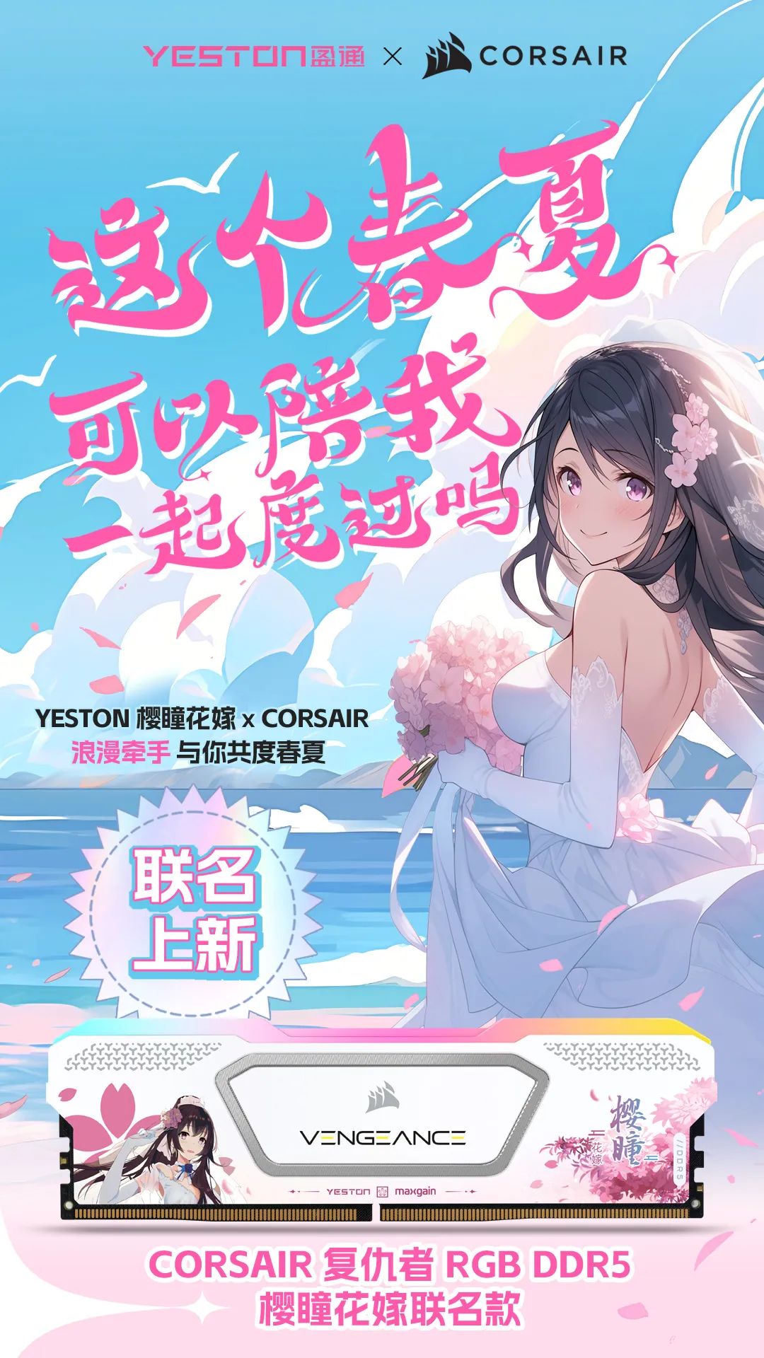 盈通 x 海盗船,复仇者 RGB DDR5 樱瞳花嫁联名款内存将至 盈通 x 海盗船,复仇者 RGB DDR5 樱瞳花嫁联名款内存将至